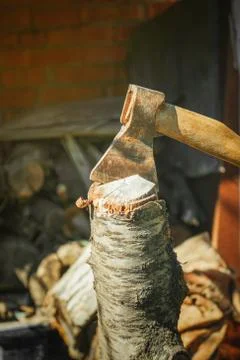 Ax in the logs of fruit tree Foto stock