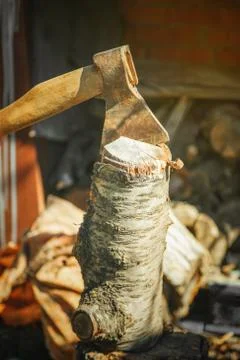 Ax in the logs of fruit tree Stock Photos