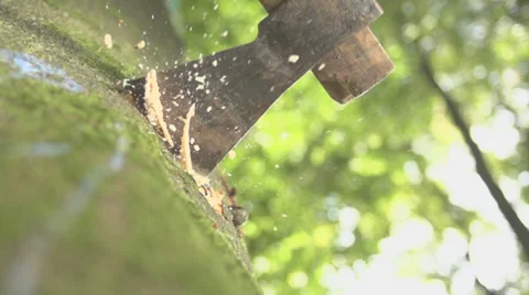 Ax Ramming Into A Tree In Extreme Slow Motion Video stock 36664083