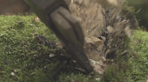 Ax Ramming Into A Tree With Massive Splashing Of pieces Stock Footage 36664115