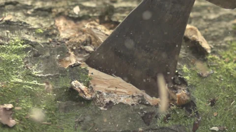 Ax Ramming Into A Tree - Several Hard Blows Stock Footage 36626750