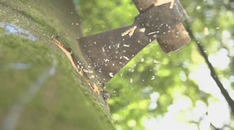 Ax Ramming Into A Tree - Slow Motion - Pieces Splashing High Stock Footage 36663706