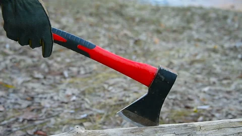 Ax with a red handle smashes a lying tree Stock Footage 101321840
