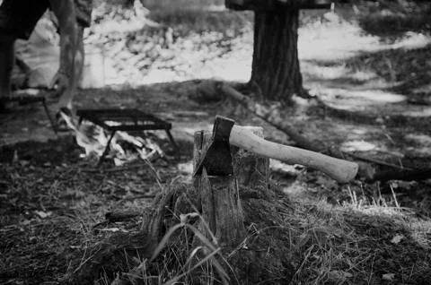 The ax stabs the stump. Stock Photos
