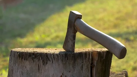 Ax Sticking In Tree Stump Stock Footage 98355022