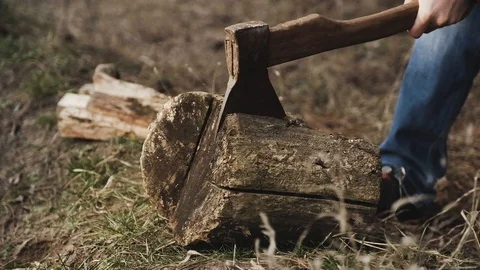 Ax stuck in a log 스톡 동영상 104408753