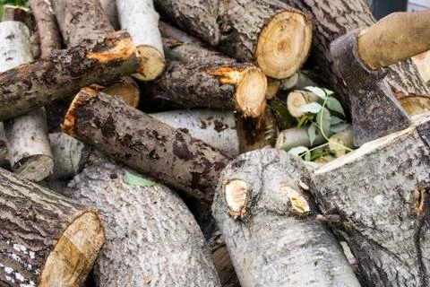An ax stuck in a stump Stock Photos