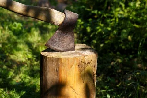 Ax stuck in the stump. Stock Photos