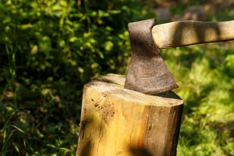 Ax stuck in the stump. Stock Photos