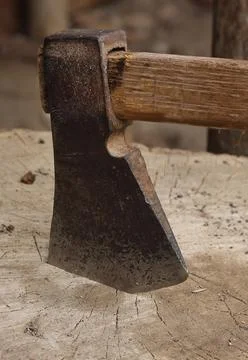 Ax stuck in the stump Stock Photos