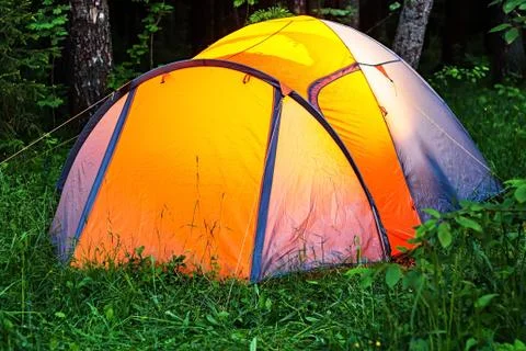 An ax is stuck in a tree in the forest Stock-Fotos