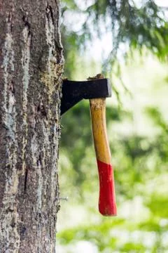 An ax is stuck in a tree in the forest Stock Photos