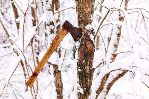 Ax stuck in a tree Stock Photos