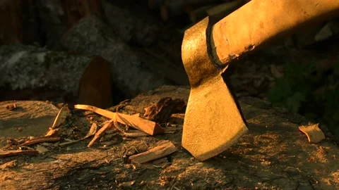 Ax stuck in a tree stump Stock Footage 138738051