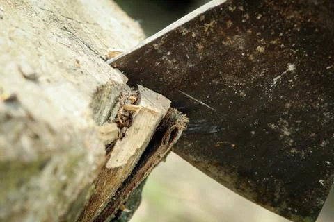 The ax in the stump Stock Photos