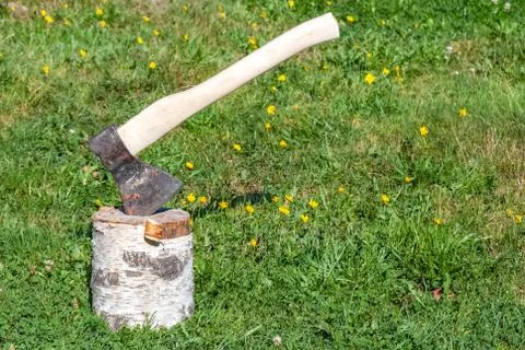 Ax on stump. Stock Photos