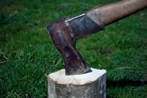 Ax in stump Stock Photos