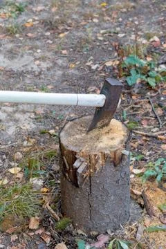 Ax thrust into the log Stock Photos