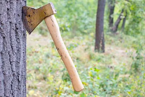 Ax thrust into the trunk Stock Photos