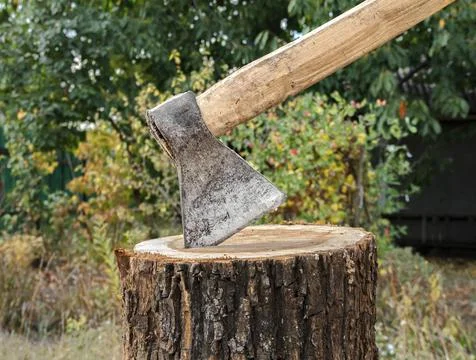 Ax in the tree stump Stock Photos