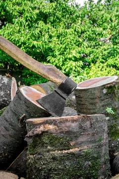 Ax in the tree stump Stock Photos