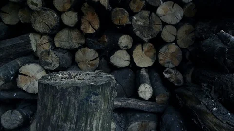 Ax in the wood Stock Footage 75396219