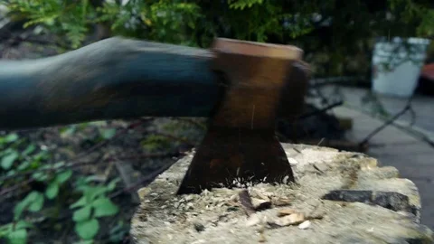 Ax in the wood Stock Footage 75396510