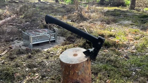 An axe against the background of grilled meat. Видео 243644541