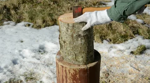 Axe and firewood log Video stock 10806383