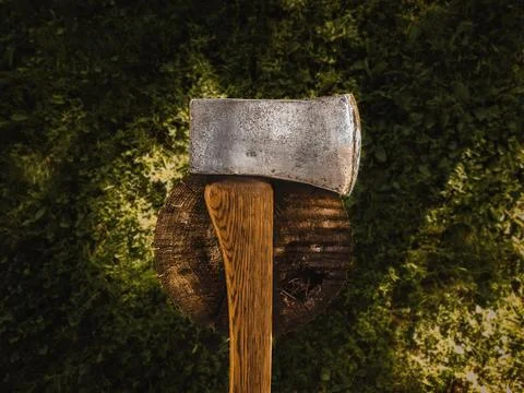 Axe   atop   tree   stump Stock-Fotos