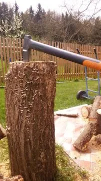 Axe in a block of wood Stock Photos