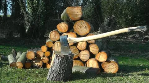 An axe in a chopping block and a pile of logs Video stock 12455179
