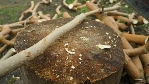 Axe chopping tree branch on wooden stump close-up Video stock 342604281