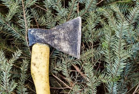 Axe on cut down spruce branches Stock Photos