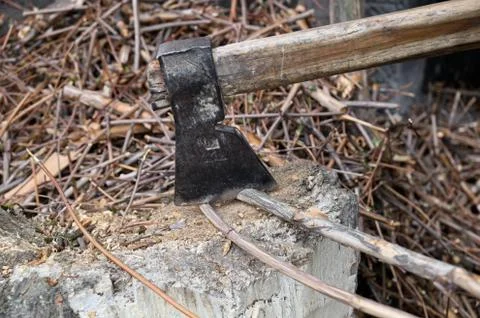 Axe cutting branches close-up. Stock Photos