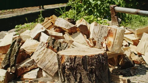 Axe embedded in a large tree trunk, surrounded by split firewood. Firewood Stock Footage 304334513