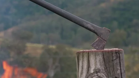 Axe embedded in a log with campfire flames burning in the foreground. Rustic Stock Footage 344163460