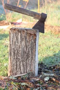 An axe is embedded in a log, surrounded by the beautiful natural elements of a Stock Photos