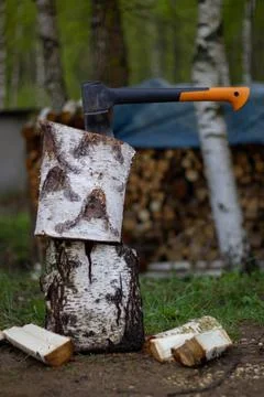 An axe embedded in split birch logs Fotos Stock