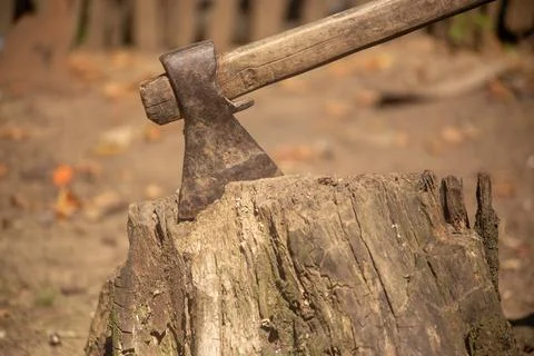 Axe embedded in a tree stump, symbolizing wood chopping or woodworking in a.. Stock Photos