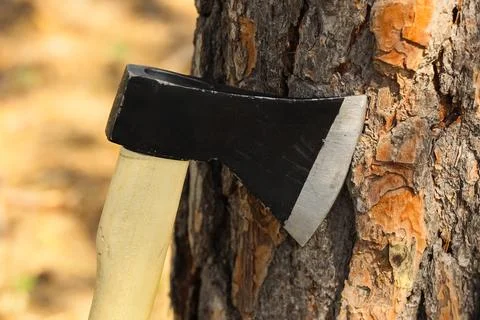 Axe embedded in tree trunk outdoors Stock Photos