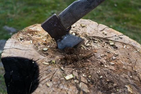 The axe is hammered into an oak block. Axe is stuck in the deck Stock Photos