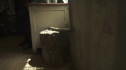 Axe kept on tree stump in old house Stock-Footage 72500649