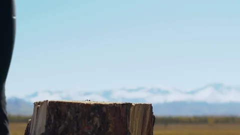 Axe in a log, closeup.scenic mountain landscape Video stock 101274810