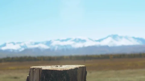 Axe in a log, closeup.scenic mountain landscape Stock-Footage 101274901