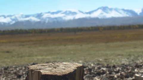 Axe in a log, closeup.scenic mountain landscape Stock Footage 101275162