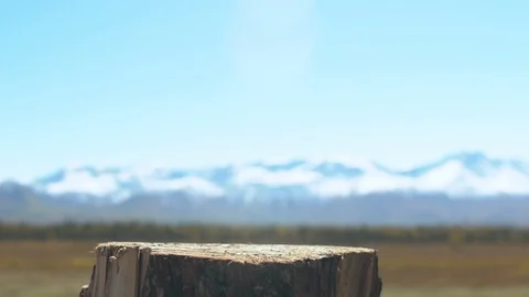Axe in a log, closeup.scenic mountain landscape Stock Footage 101275214