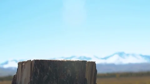 Axe in a log, closeup.scenic mountain landscape Video stock 101275277