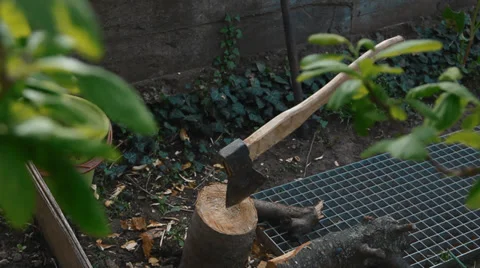 Axe on the log Stock Footage 37867589