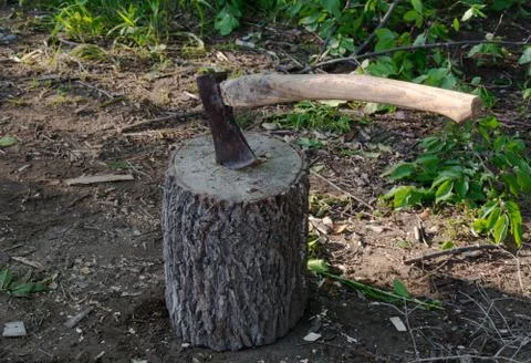 Axe on a log. Stock Photos